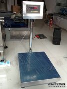 可移动不锈钢草莓视频免费下载观看