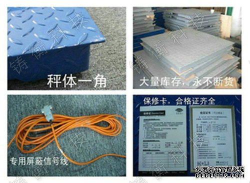 草莓视频APP在线无限看