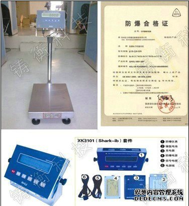 防爆电子草莓视频免费下载观看