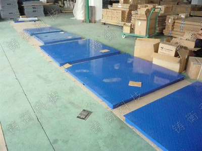 电子草莓视频APP在线无限看