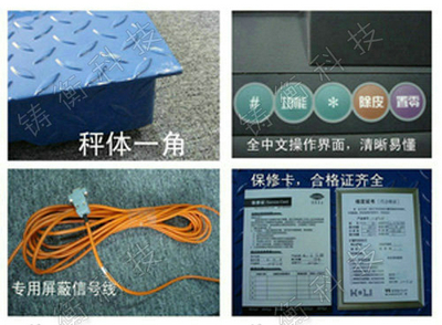 草莓视频APP在线无限看